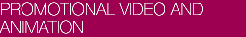 Promotional Videos